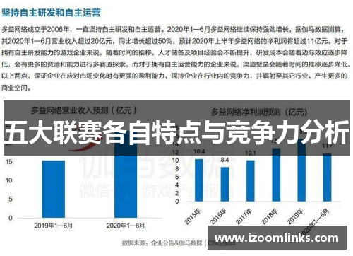 五大联赛各自特点与竞争力分析